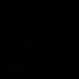 Meet your Posher, Ky